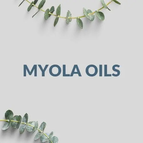 Our Oils Quality Process - Myola Oils