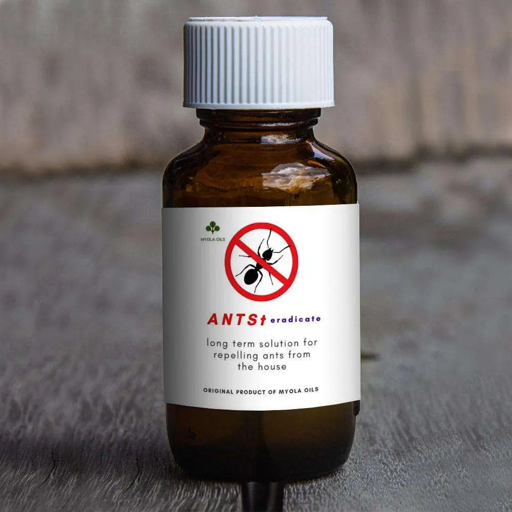 Ants - Eradicate Myola Oils