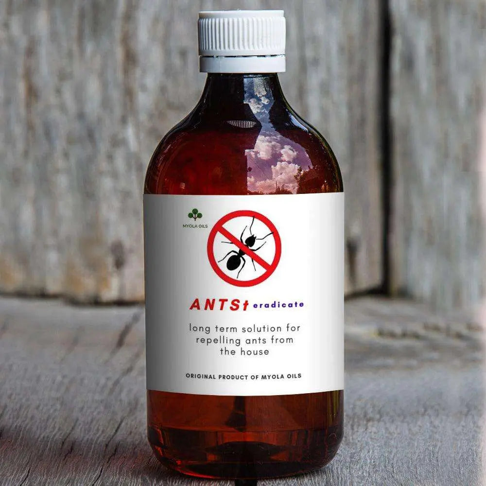 Ants - Eradicate Myola Oils