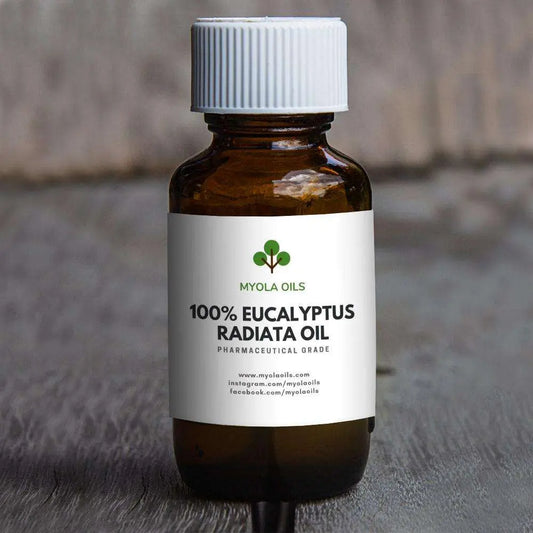 Eucalyptus Radiata Oil Myola Oils