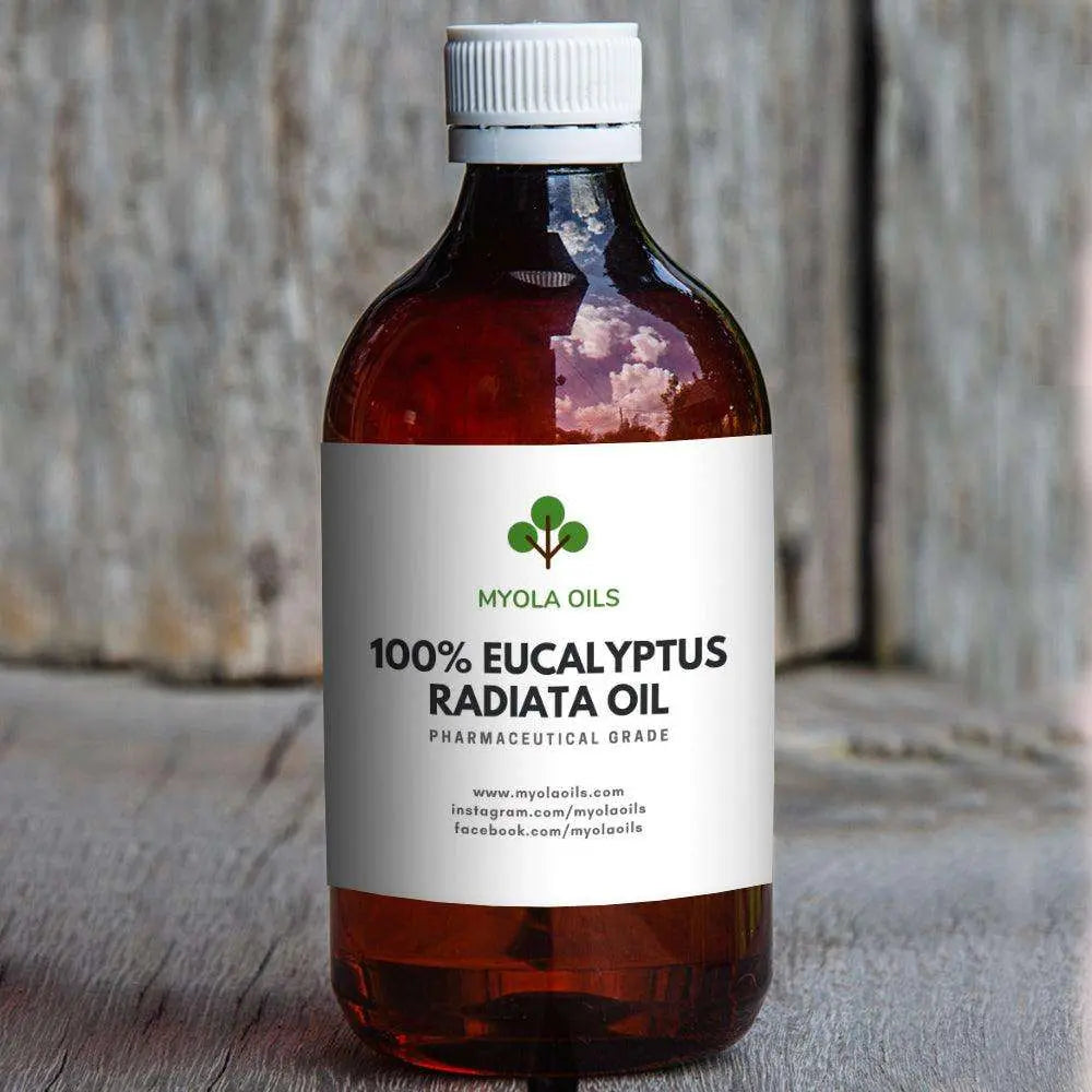 Eucalyptus Radiata Oil Myola Oils